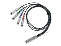ea884c53-df65-4eb7-b192-45a07a608013.jpg