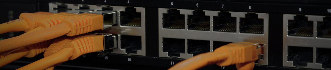 network switch with several orange cables