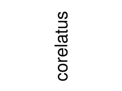 Corelatus